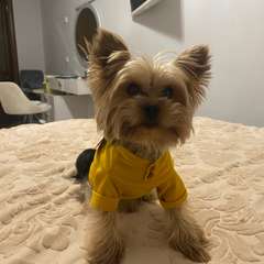 Фото отзыва 10831930