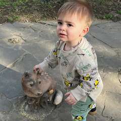 Фото отзыва 8801873