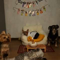 Фото отзыва 10750392