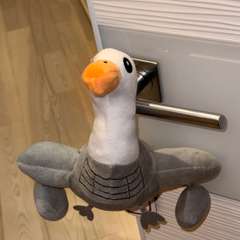 Фото отзыва 11041576