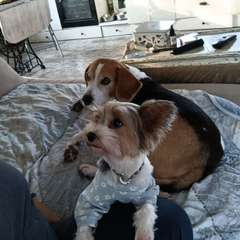 Фото отзыва 10610852