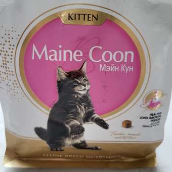 Корм для котят Royal Canin 400г Maine Coon породы мейн-кун: отзыв пользователя. Зоомагазин Зоозавр