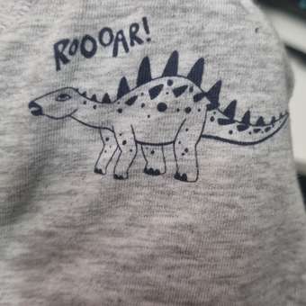 Трусы 3 шт Futurino: отзыв пользователя Детский Мир