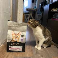 Фото отзыва 10886471