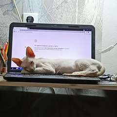 Фото отзыва 10801528