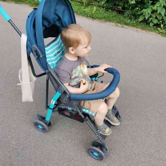 Коляска прогулочная Babyton Zoo Blue синий: отзыв пользователя ДетМир