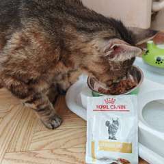 Фото отзыва 11023508