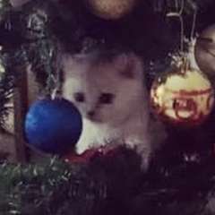 Фото отзыва 10780586