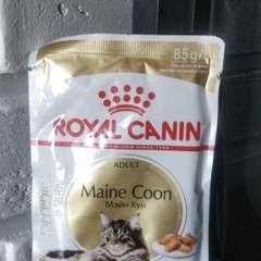 Фото отзыва 10985012