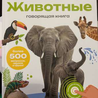 Комплект говорящих книжек BertToys Нажималки: Животные + Цвета: отзыв пользователя Детский Мир