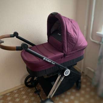 Коляска 2в1 Olsson iStyle Purple: отзыв пользователя ДетМир