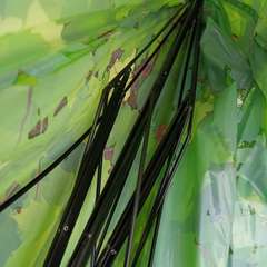 Фото отзыва 10630582