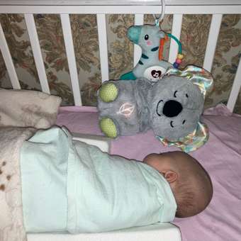 Игрушка Fisher Price Коала: отзыв пользователя Детский Мир