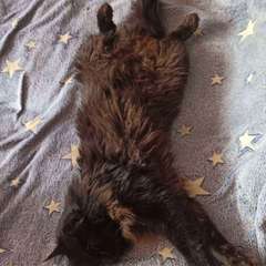 Фото отзыва 10761634