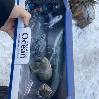 Игровой набор Attivio Обитатели подводного мира: отзыв пользователя ДетМир