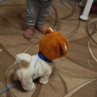 Мягкая игрушка BalaToys Собака: отзыв пользователя Детский Мир