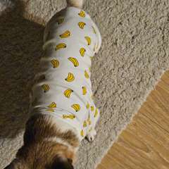 Фото отзыва 10635430