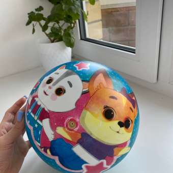 Мяч KiddiePlay Кошечки и собачки 23см 4228-1: отзыв пользователя Детский Мир