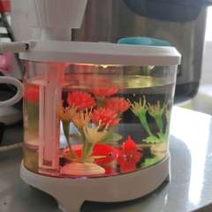 Видео отзыва 10834504