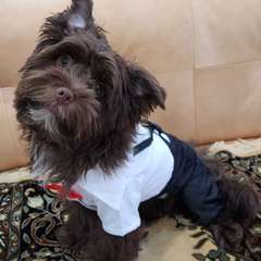 Фото отзыва 10747230