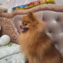 Фото отзыва 10900046