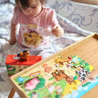 Пазл Baby Toys First Puzzle классический: отзыв пользователя ДетМир