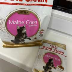 Фото отзыва 10591464