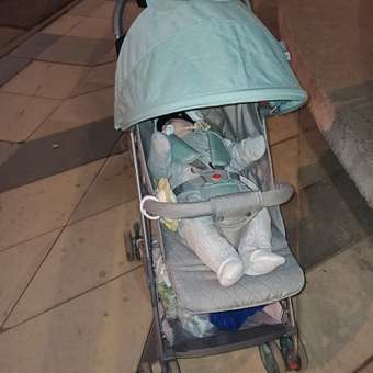 Коляска прогулочная Babyton Click Green зеленый: отзыв пользователя Детский Мир
