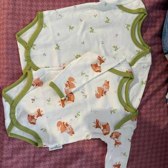 Боди 2 шт Эскимо: отзыв пользователя Детский Мир