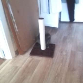 Когтеточка Lilli Pet JADE 30.5х30.5х45 см коричневая: отзыв пользователя. Зоомагазин Зоозавр