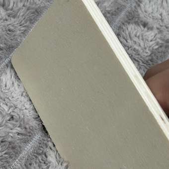 Игрушка AUKKA сортер Монтессори: отзыв пользователя Детский Мир