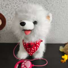 Фото отзыва 11304740