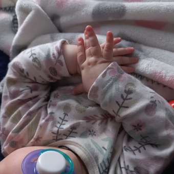 Пустышка BabyGo латекс классическая от 6 мес. 1 шт.: отзыв пользователя ДетМир
