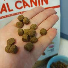 Фото отзыва 10764406