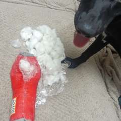 Фото отзыва 10498401