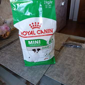Корм для собак ROYAL CANIN пожилых мелких пород 2кг: отзыв пользователя. Зоомагазин Зоозавр