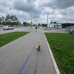 Фото отзыва 9770773