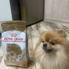 Фото отзыва 10770176