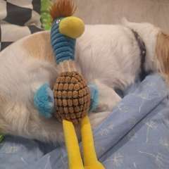 Фото отзыва 10543306