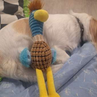 Игрушка для собак Homepet Утка дикая с пищалкой плюшевая 24*35см: отзыв пользователя. Зоомагазин Зоозавр