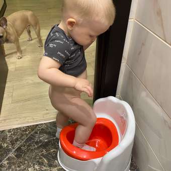 Горшок Babyton Sam Dino life: отзыв пользователя ДетМир