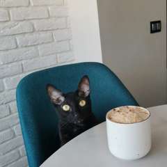 Фото отзыва 10715761