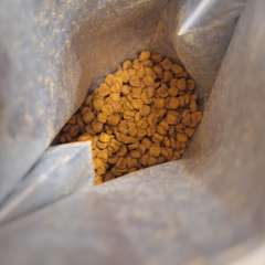 Фото отзыва 10690804