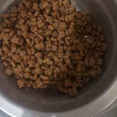 Фото отзыва 11004311