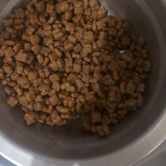 Корм для котят Royal Canin Mother and Babycat 400г: отзыв пользователя. Зоомагазин Зоозавр