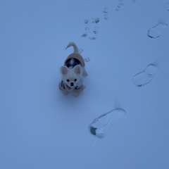 Фото отзыва 10929250