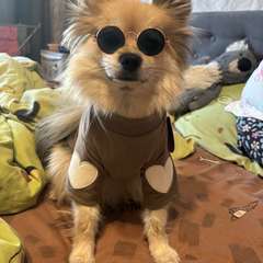 Фото отзыва 11163736