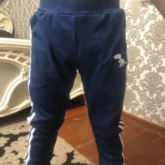 Брюки DANKIDS: отзыв пользователя Детский Мир