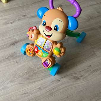 Ходунки Fisher Price Ученый Щенок с ручкой: отзыв пользователя ДетМир