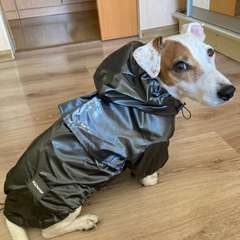 Фото отзыва 10618636